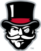 University of New Mexico Lobos athletics